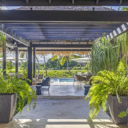Amara Адехе